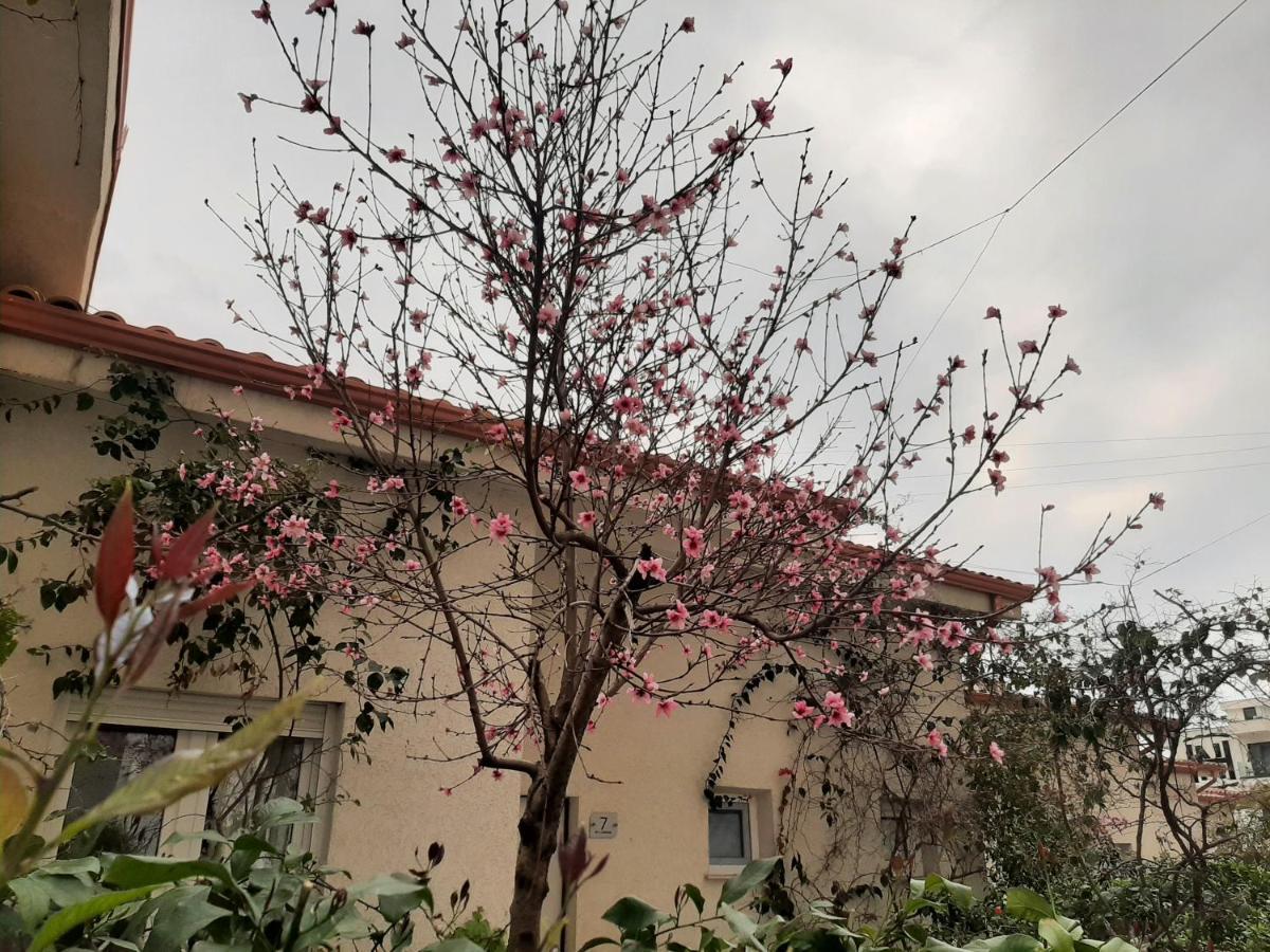 Kela Apartment 3 Sarandë Dış mekan fotoğraf